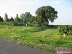 san_lorenzo_008