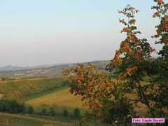 san_lorenzo_035