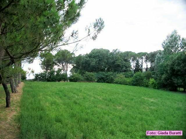 sanvittore_06