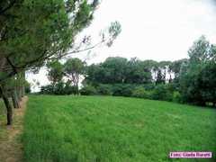 sanvittore_06