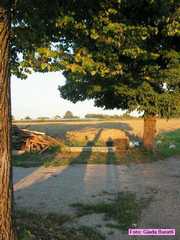 solarolo_2006_017