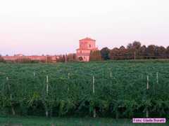 solarolo_2006_031