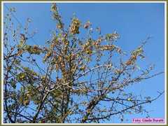 IMG_1750