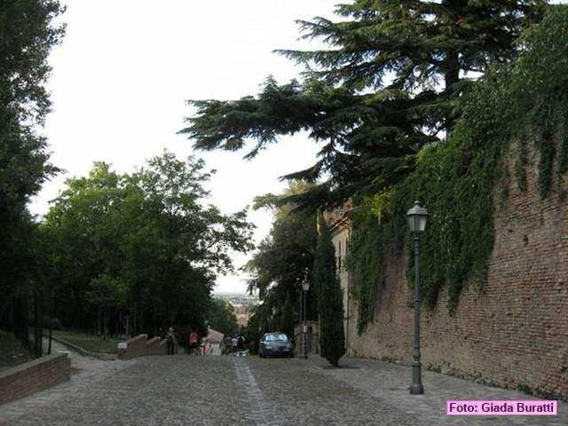 cesena_033