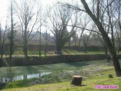 imola_041