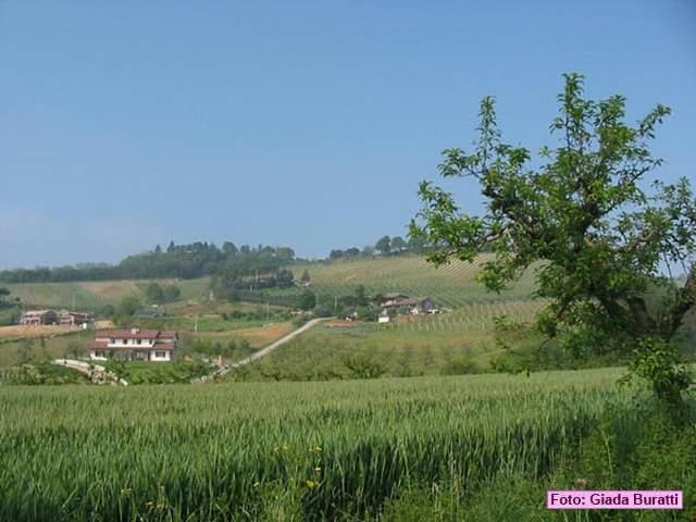 sanvittore_016