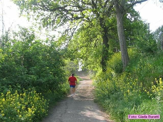 sanvittore_023