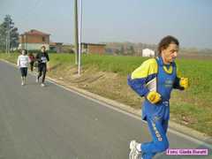 voltana07_295