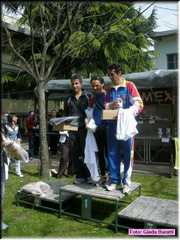 Alfonsine08_370