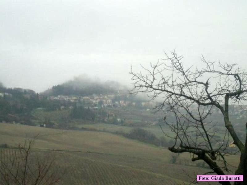 5Ville2008_035