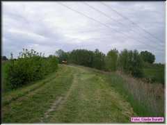 Boncellino_01