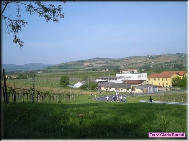 DSCN9503