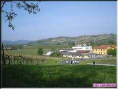 DSCN9503