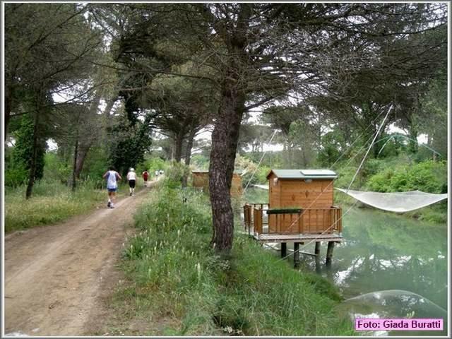 Cervia08_069