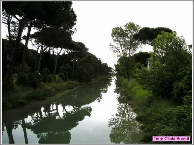 Cervia08_076