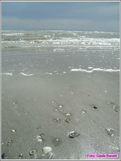 Cervia08_147