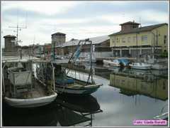 Cervia08_019