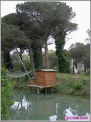Cervia08_060
