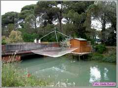Cervia08_065