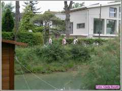Cervia08_074