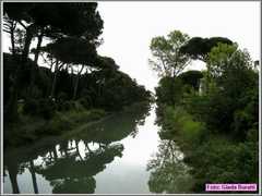 Cervia08_076