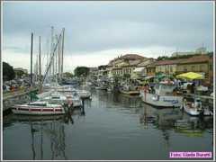 Cervia08_112