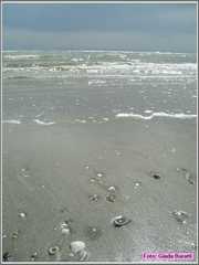 Cervia08_147