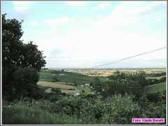Sangiovanni08_045
