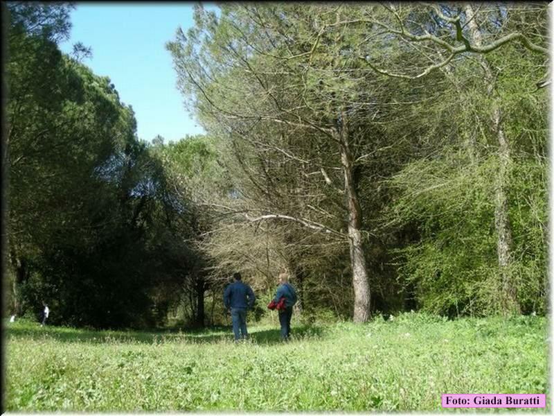 Fossoghiaia08_06