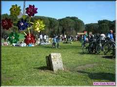 Fossoghiaia08_19