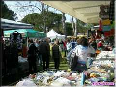 Fossoghiaia08_22