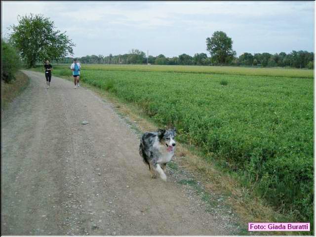 img040