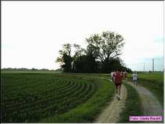 img012