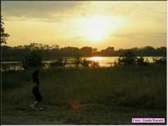 img029