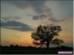 img046