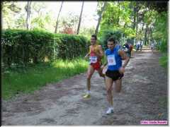 img019