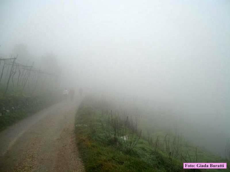 Monteforte_016