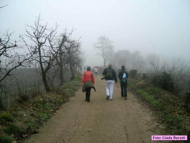 Monteforte_034