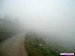 Monteforte_016