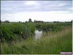 Pievecesato_013