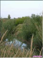 Pievecesato_014