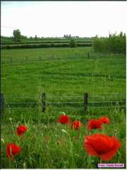 Pievecesato_024