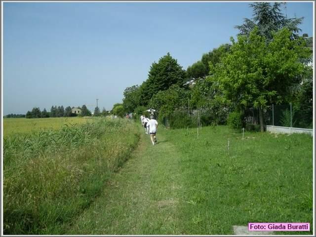 img010