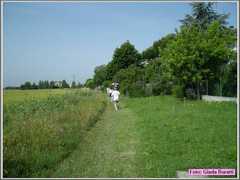 img010