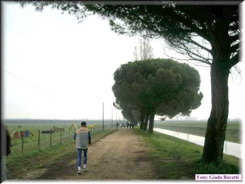 Bassette08_007