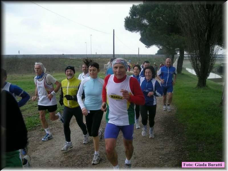 Bassette08_105