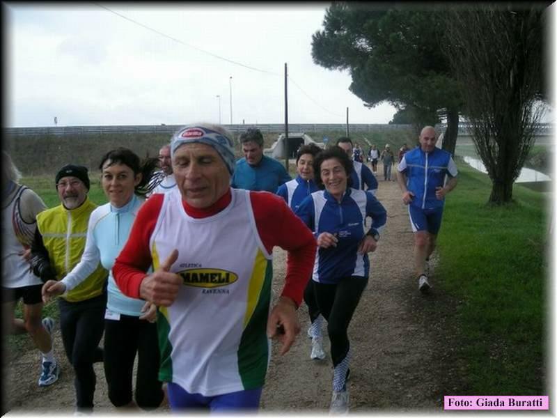 Bassette08_106