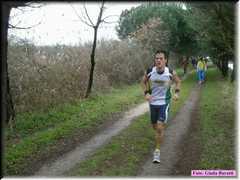 Bassette08_066