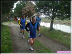 Bassette08_088