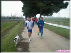 Bassette08_101
